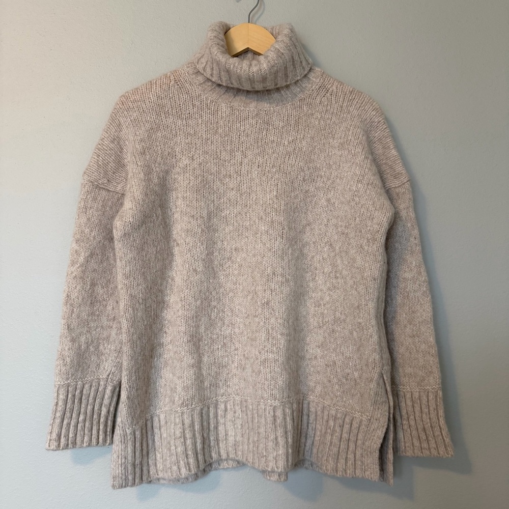 Everlane Turtleneck Sweater